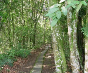 Jardín Botánico UTP. Fuente: Panoramio.com Por gismax